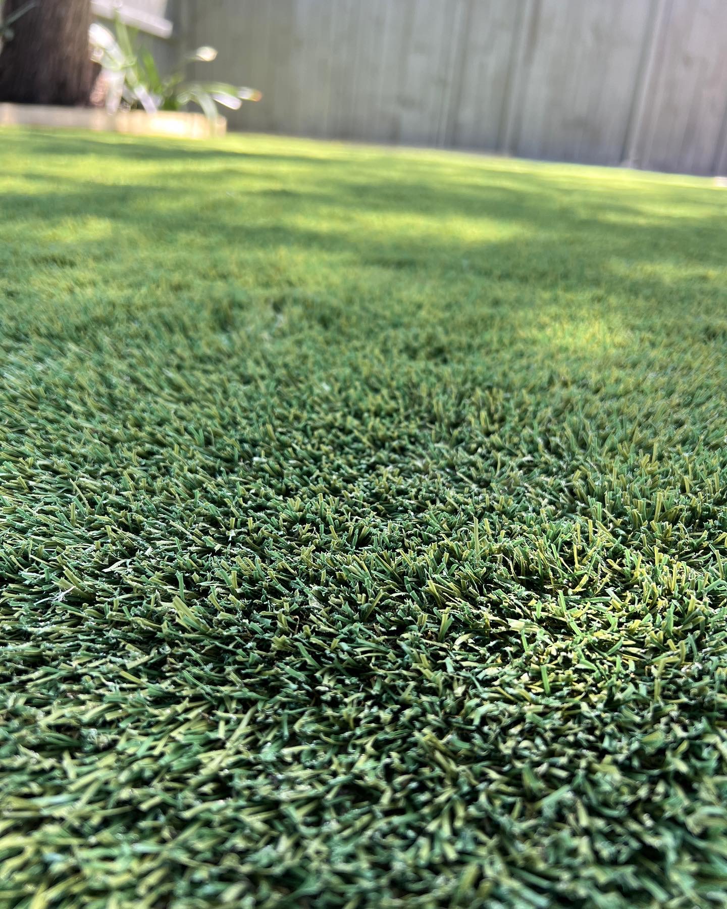 Artificial turf close-up